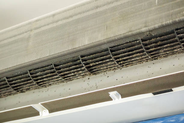 Best Home Air Vent Cleaning  in Mountain Iron, MN